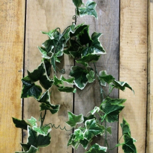 Holland Ivy Garland x 97 leaves 6ft